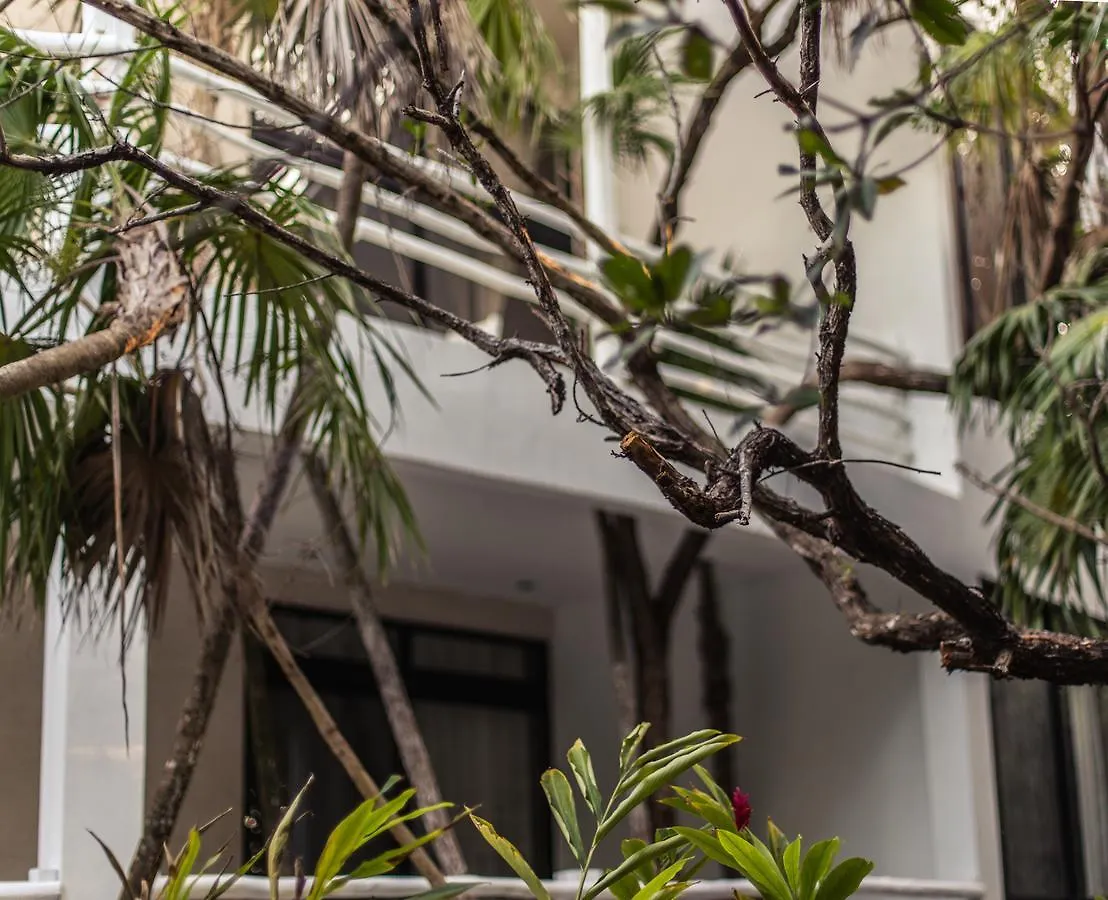 Casa Ambar Hotel & Boutique Tulum (Adults Only)