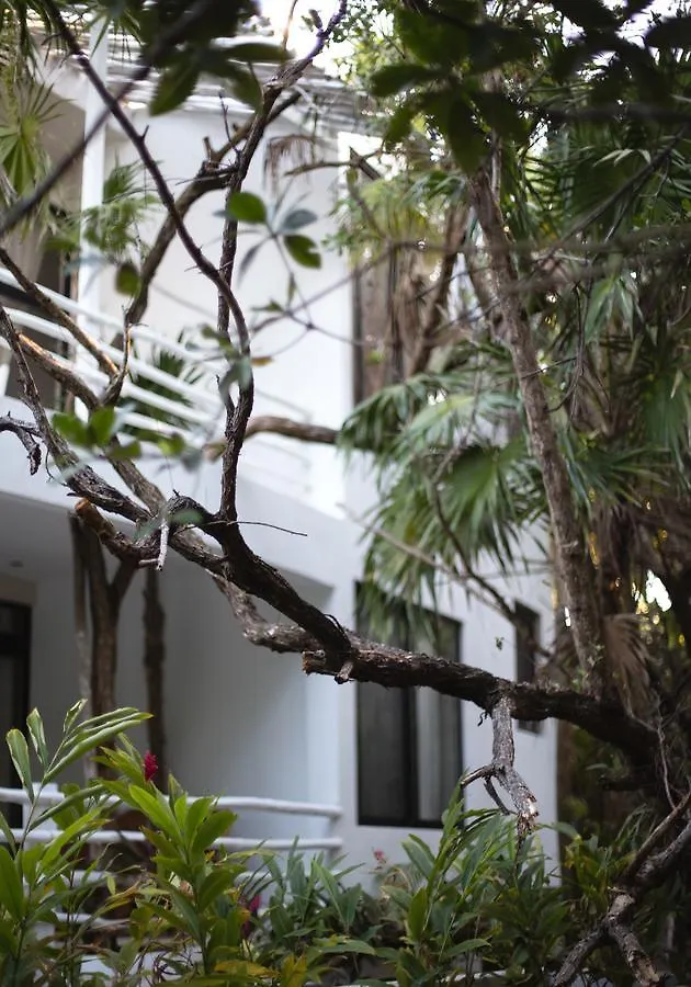 Casa Ambar Hotel & Boutique Tulum (Adults Only)